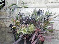 Nikon Coolpix 056  so earthy